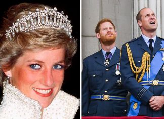 Prince William and Prince Harry’s inheritance from Princess Diana after her death revealed | Royal | News (Details)