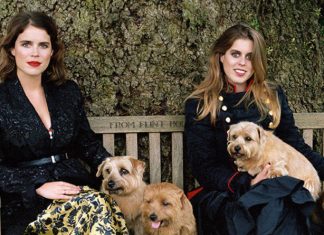 Princess Eugenie and Beatrice reveal what sisters rowed about in BIGGEST fight | Royal | News (Details)