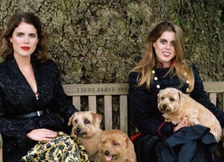 Royal family latest: When will Princess Eugenie and Beatrice appear in British Vogue? | Royal | News (Details)
