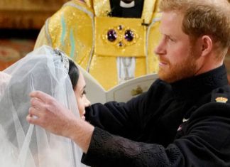 Meghan Markle: What was Meghan’s New Zealand symbol on her wedding veil? | Royal | News (Details)