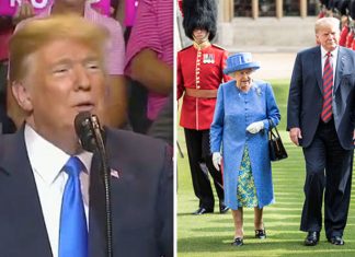 The Queen and US President Donald Trump ‘got on fantastically well’ | Royal | News (Details)