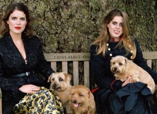 The princesses with a point to prove | Royal | News (Details)