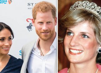 Princess Diana legacy: Diana ‘lives on through the charitable lives of Meghan and Harry’ | Royal | News (Details)