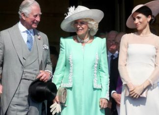 Meghan Markle news: What Prince Charles REALLY thinks of Prince Harry’s wife | Royal | News (Details)