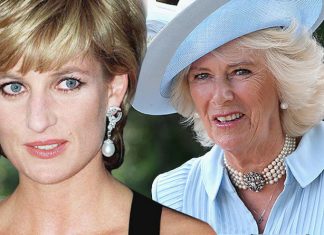 Princess Diana news: Queen & Philip ‘NEVER DREAMED’ Charles could leave Diana for Camilla | Royal | News (Details)