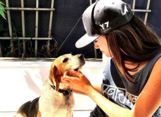 Meghan Markle’s rescue beagle Guy gets his very OWN royal book | Royal | News (Details)
