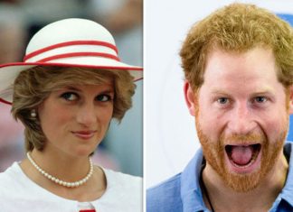 REVEALED: Princess Diana’s HILARIOUS Christmas stocking gift for Prince Harry | Royal | News (Details)