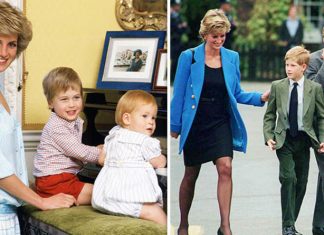 Princess Diana news: How Diana believed Prince William had STRONGER WILL than Harry | Royal | News (Details)