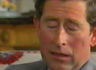 Princess Diana: Charles blasts rumours he had affair with Camilla | Royal | News (Details)