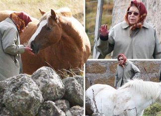Queen Elizabeth news: Queen pictured feeding beloved horses on Balmoral Estate | Royal | News (Details)