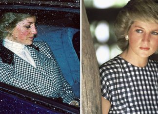 Was Princess Diana pregnant? Royal’s pathologist answers question people ask him most | Royal | News (Details)