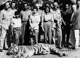 Queen and Philip pose with dead tiger years before Prince William starts conservation tour | Royal | News (Details)