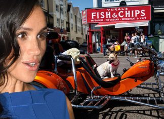 Meghan Markle and Prince Harry news: Special away day in Sussex announced | Royal | News (Details)