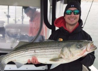 Brain-eating Amoeba Kills Man Who Visited Texas (Reports) Brain-eating Amoeba Kills Man Who Visited Texas (Reports)