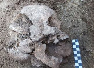 Eerie Child ‘Vampire Burial’ Discovered in Italy (Video) Eerie Child 'Vampire Burial' Discovered in Italy (Watch)