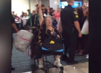 Emotional Support Squirrel A No-Go On Frontier Flight, Report Emotional Support Squirrel A No-Go On Frontier Flight, Report