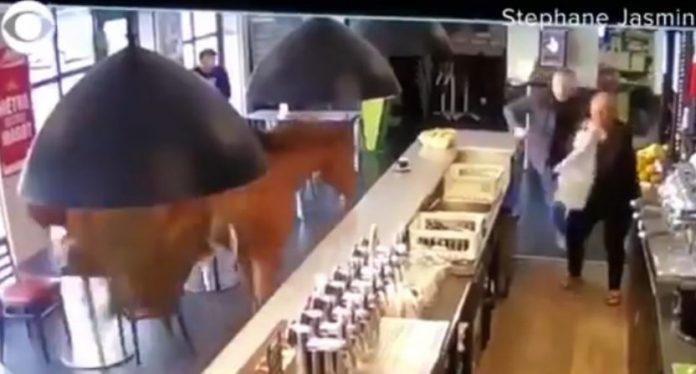 Horse runs into a bar in France (Video)