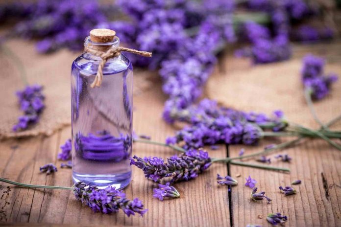 Lavender helps relaxing? Benefits Of The Smell Can Be More Impactful