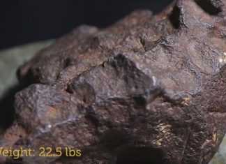 Meteorite worth $100K was used as doorstop for years Meteorite worth $100K was used as doorstop for years