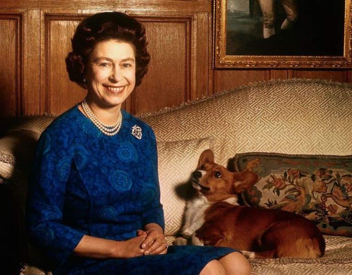 Queen Elizabeth corgis dies, ending her 74 year connection with the breed