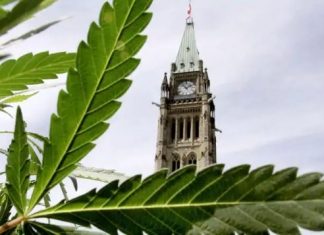 Russia: ‘Canada cannabis legalization will lead to increased trafficking’ Russia: 'Canada cannabis legalization will lead to increased trafficking'