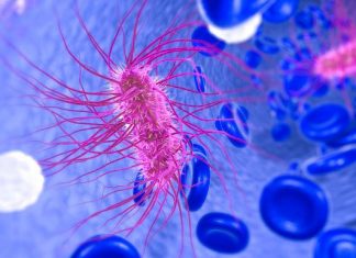 Two children die from E.coli infection complications (Public Health) Two children die from E.coli infection complications (PHE)