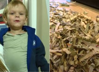 US Toddler shreds more than $1,000 in cash, parents say US Toddler shreds more than $1,000 in cash, parents say