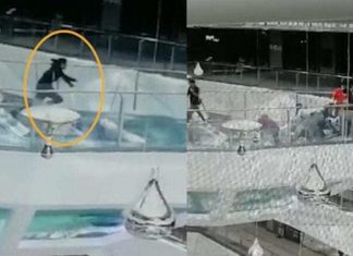 Woman falls into shark tank at shopping centre (Watch) Woman falls into shark tank at shopping centre (Watch)