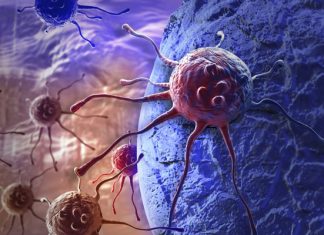 Cancer-killing Virus: Human cells tricked into hiding tumours Cancer-killing Virus: Human cells tricked into hiding tumours