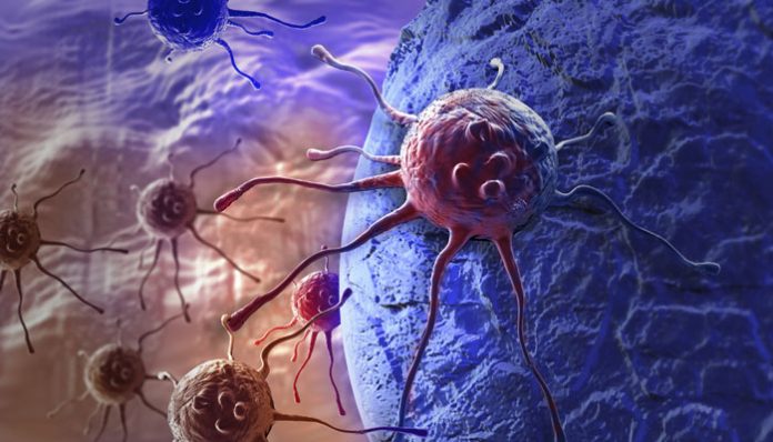 Cancer-killing Virus: Human cells tricked into hiding tumours