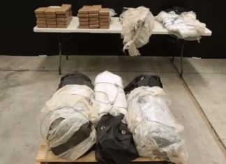 Cocaine Bust Made in a Banana Shipment (Photo) Cocaine Bust Made in a Banana Shipment (Photo)