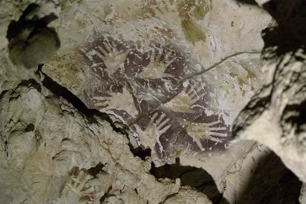 Oldest Cave Paintings Of Animal Discovered In Indonesia Star Mag   Oldest Cave Paintings Of Animal Discovered In Indonesia 1024x684 