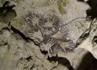 Oldest cave paintings of animal discovered in Indonesia Oldest cave paintings of animal discovered in Indonesia