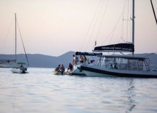 Whitsundays shark attack: paddleboarder savaged by a shark Whitsundays shark attack: paddleboarder savaged by a shark