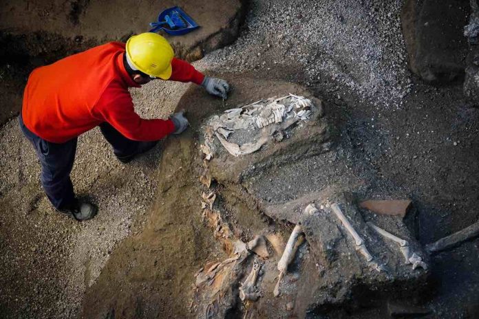 Horse and saddle unearthed near Pompeii (Photo)