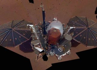 InSight Takes Its First Mars Selfie (Picture) InSight Takes Its First Mars Selfie (Picture)