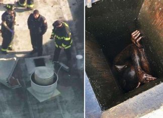 Man Rescued From Grease Vent Of Vacant Bay Area Restaurant, Report Man Rescued From Grease Vent Of Vacant Bay Area Restaurant, Report