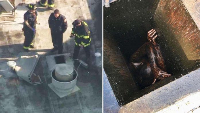 Man Rescued From Grease Vent Of Vacant Bay Area Restaurant, Report