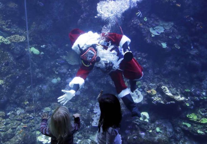 Scuba-diving Santa takes time to feed San Francisco fish (Picture)