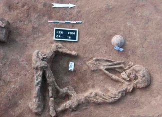 Ancient tombs and prehistoric burials found in Nile Delta (Photo) Ancient tombs and prehistoric burials found in Nile Delta (Photo)