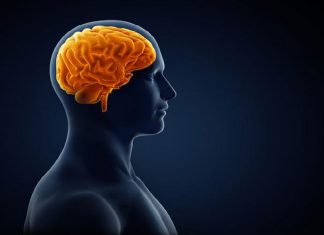 Brain works backwards to retrieve memories (Study) Brain works backwards to retrieve memories (Study)