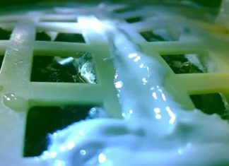 First green leaf on moon dies, Report First green leaf on moon dies, Report