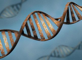 Indian scientists slam ancient Hindu “stem cell” claim Indian scientists slam ancient Hindu "stem cell" claim