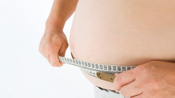 Overweight people have smaller brains, says new research