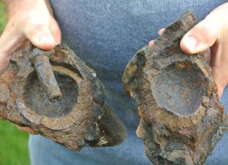 Pirate Ship: SECOND grenade found on beach Pirate Ship: SECOND grenade found on beach