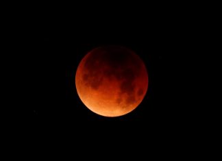 ‘Super Blood Wolf Moon’ Makes Astronomers Howl, Report 'Super Blood Wolf Moon' Makes Astronomers Howl, Report