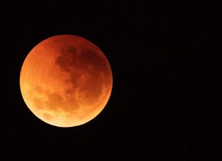 Super blood wolf moon 2019: Mark your calendar and brace yourself Super blood wolf moon 2019: Mark your calendar and brace yourself