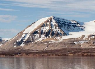 Superbug genes from India found in Arctic, new study Superbug genes from India found in Arctic, new study