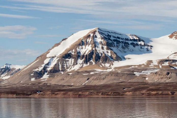 Superbug genes from India found in Arctic, new study