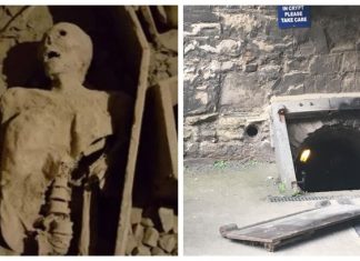 800 year-old Mummy Head Stolen From Dublin Church, Report 800 year-old Mummy Head Stolen From Dublin Church, Report
